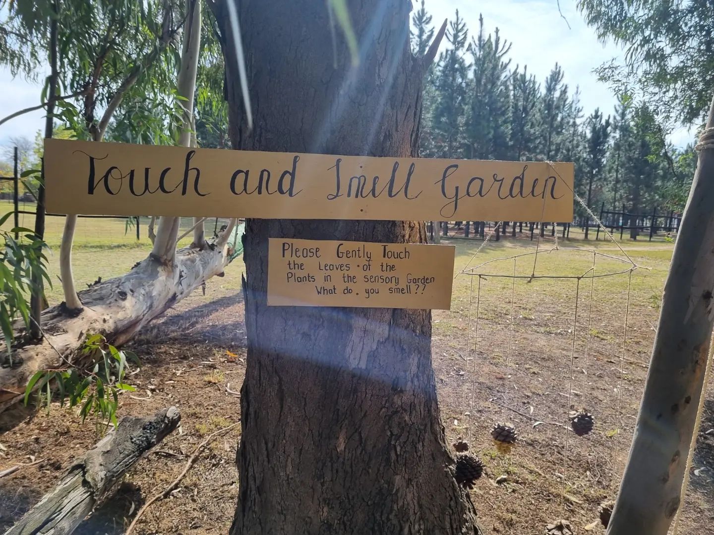 488932608_1192127402922743_176531483753129699_n